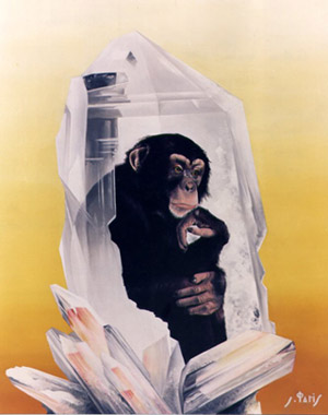 Cliquez pour agrandir